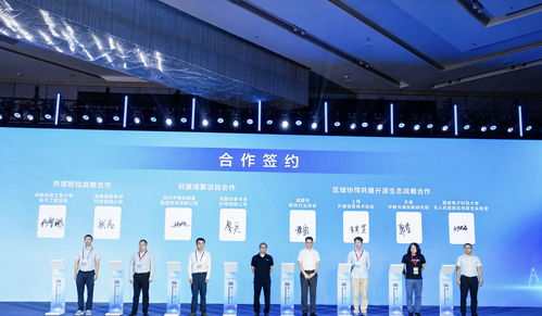 85條供需信息集中發布，成都開源生態建設大會引領軟件技術推廣新浪潮